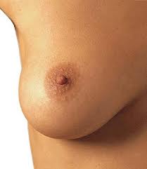 breast external